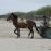 Wasser Akzente 3